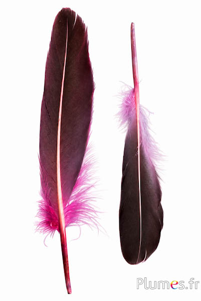 Eend - 18-20 cm, links en rechts - zalm-roze-zwart